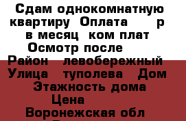 Сдам однокомнатную квартиру. Оплата 9000 р. в месяц  ком.плат. Осмотр после 17. › Район ­ левобережный › Улица ­ туполева › Дом ­ 9 › Этажность дома ­ 9 › Цена ­ 9 000 - Воронежская обл., Воронеж г. Недвижимость » Квартиры аренда   